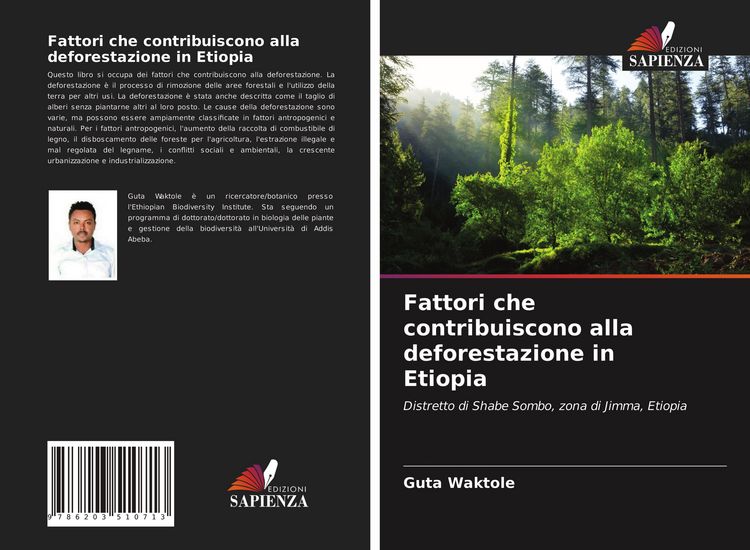 Produktbild: Fattori che contribuiscono alla deforestazione in Etiopia