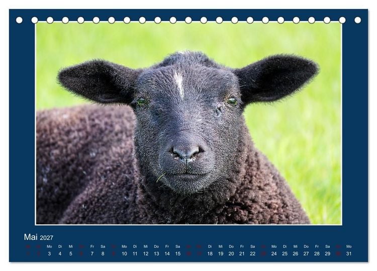 Produktbild: Dangast. Impressionen eines besonderen Ortes. (Tischkalender 2027 DIN A5 quer), CALVENDO Monatskalender