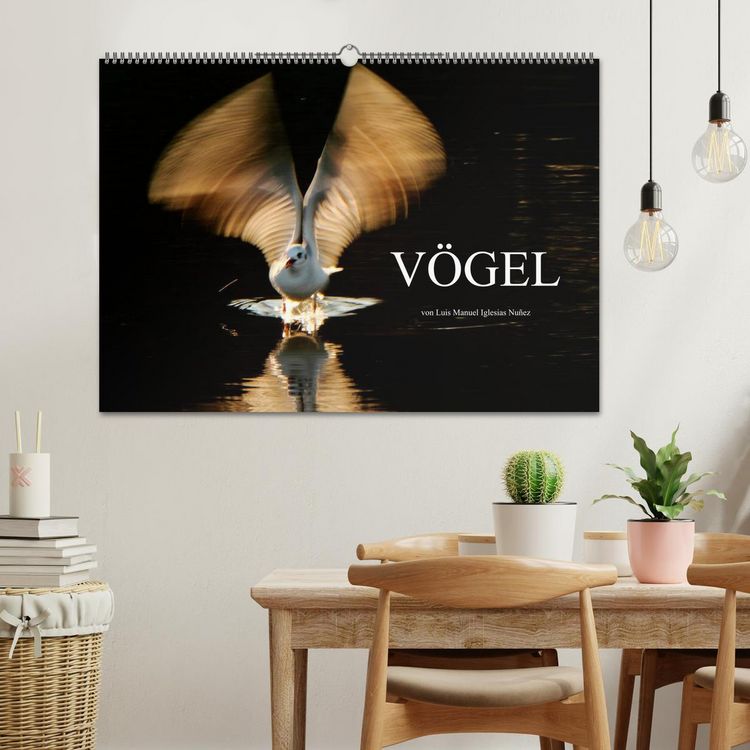 Produktbild: V&Ouml;GEL (Wandkalender 2026 DIN A2 quer), CALVENDO Monatskalender
