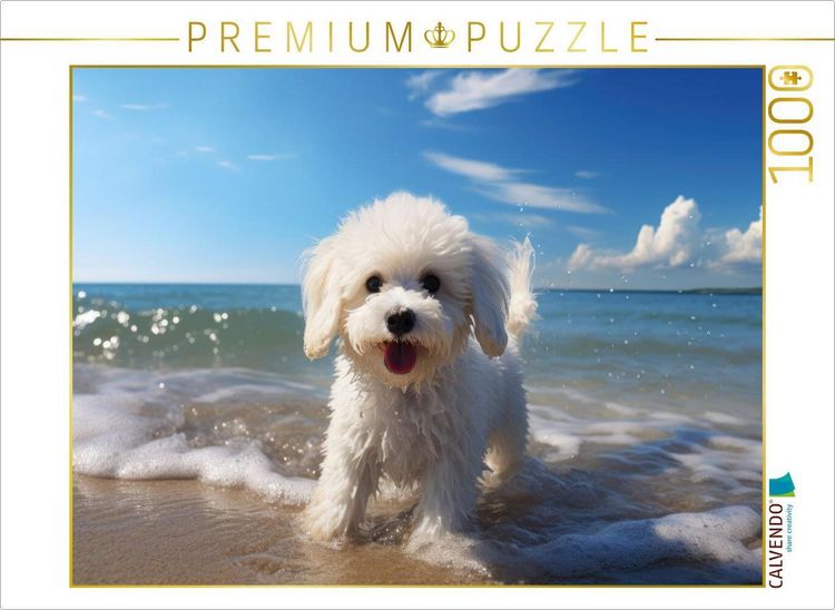 Produktbild: CALVENDO Puzzle Ein Motiv aus dem Kalender "Bichon fris&eacute;, wei&szlig;e H&uuml;ndchen mit lockigem Haar" | 1000 Teile Lege-Gr&ouml;&szlig;e 64x48cm Foto-Puzzle f&uuml;r gl&uuml;ckliche Stunden