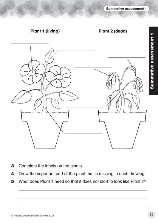 Produktbild: Collins International Primary Science