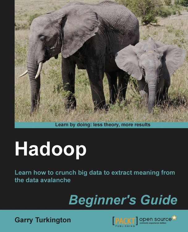 Produktbild: Hadoop Beginner's Guide