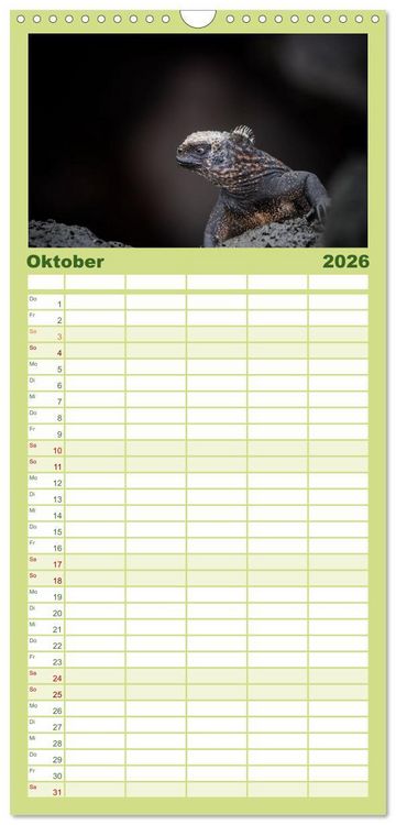 Produktbild: Familienplaner 2026 - Die faszinierende Tierwelt der Galapagos-Inseln mit 5 Spalten (Wandkalender, 21 x 45 cm) CALVENDO