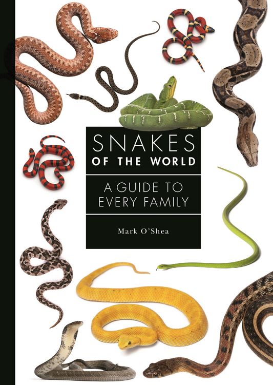 Produktbild: Snakes of the World