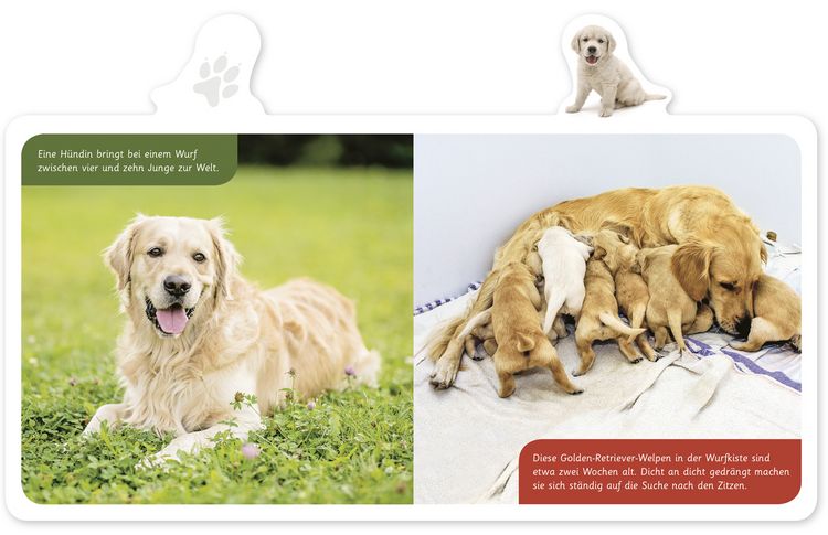 Produktbild: Der Hund