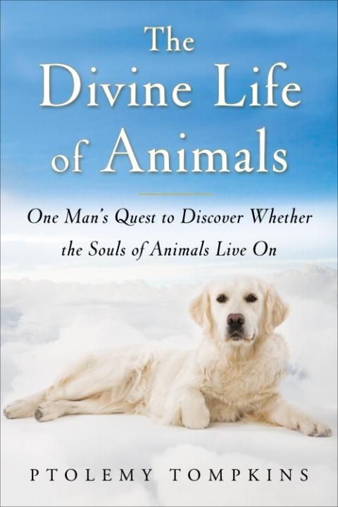 Produktbild: The Divine Life of Animals