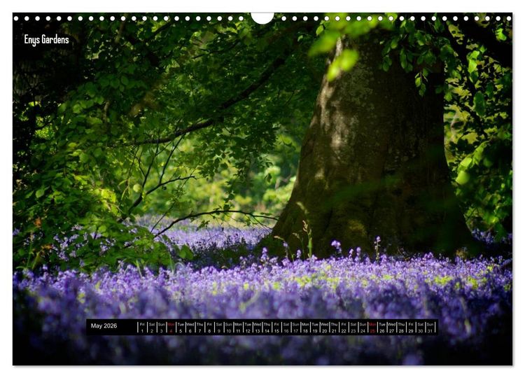 Produktbild: Photographic Cornwall 2026 (Wall Calendar 2026 DIN A3 landscape), CALVENDO 12 Month Wall Calendar