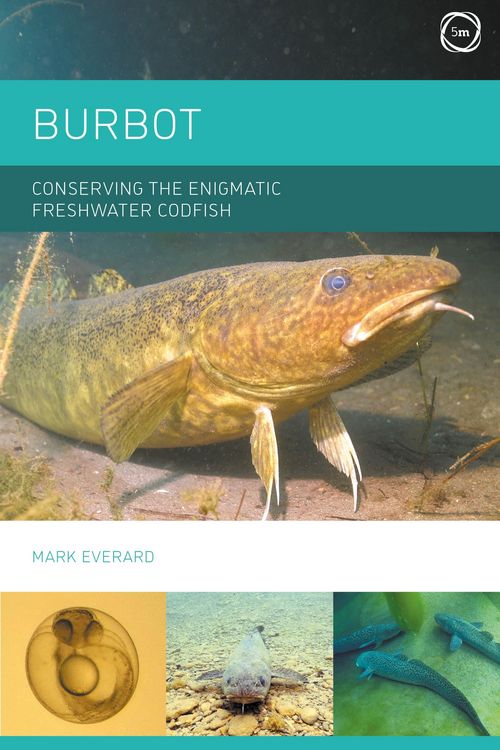 Produktbild: Burbot: Conserving the Enigmatic Freshwater Codfish