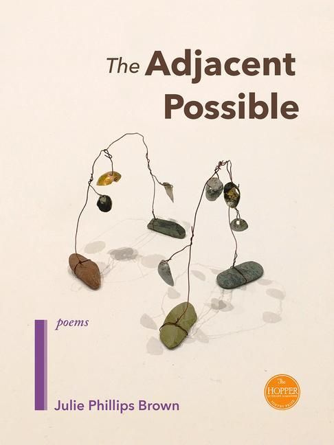 Produktbild: The Adjacent Possible
