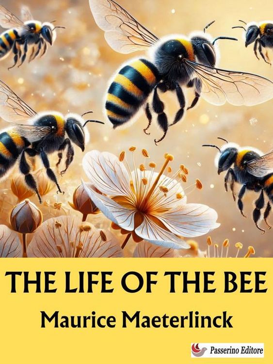 Produktbild: The Life of the Bee