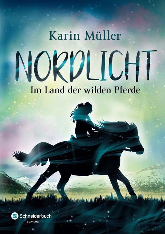 Produktbild: Nordlicht, Band 01