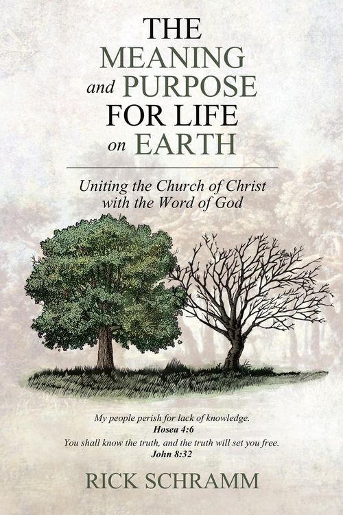 Produktbild: The Meaning and Purpose for Life on Earth