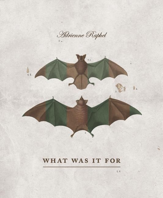 Produktbild: What Was It for