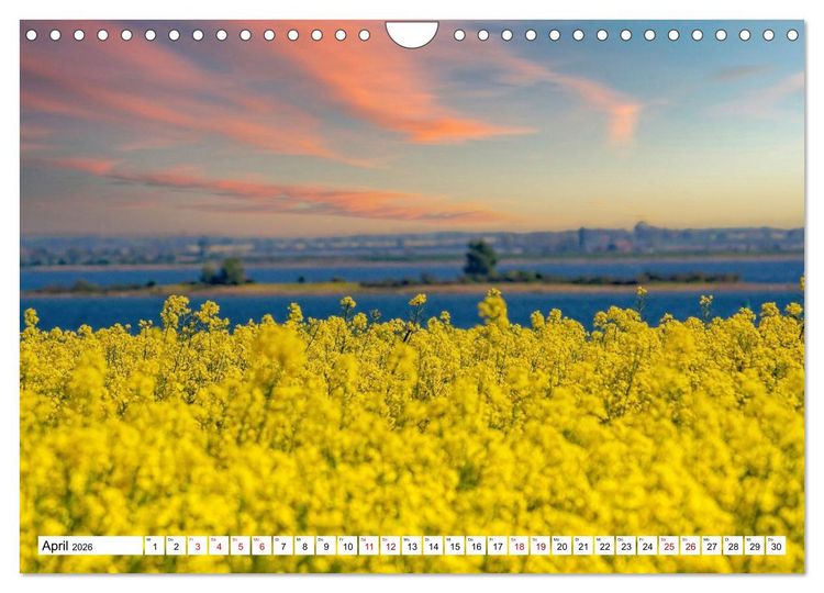 Produktbild: Naturparadies Zierow - Ostsee Idylle pur in der Wismarer Bucht (Wandkalender 2026 DIN A4 quer), CALVENDO Monatskalender