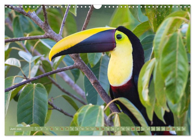 Produktbild: Farbenfrohes Costa Rica (Wandkalender 2026 DIN A3 quer), CALVENDO Monatskalender