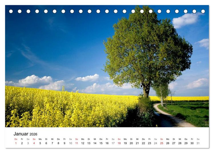 Produktbild: Rapsodie (Tischkalender 2026 DIN A5 quer), CALVENDO Monatskalender