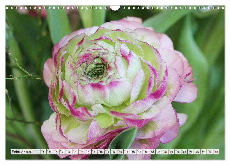 Produktbild: Blumen, bunt gemischt (Wandkalender 2027 DIN A3 quer), CALVENDO Monatskalender