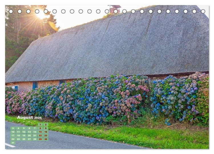 Produktbild: Ein Hortensientraum (Tischkalender 2026 DIN A5 quer), CALVENDO Monatskalender