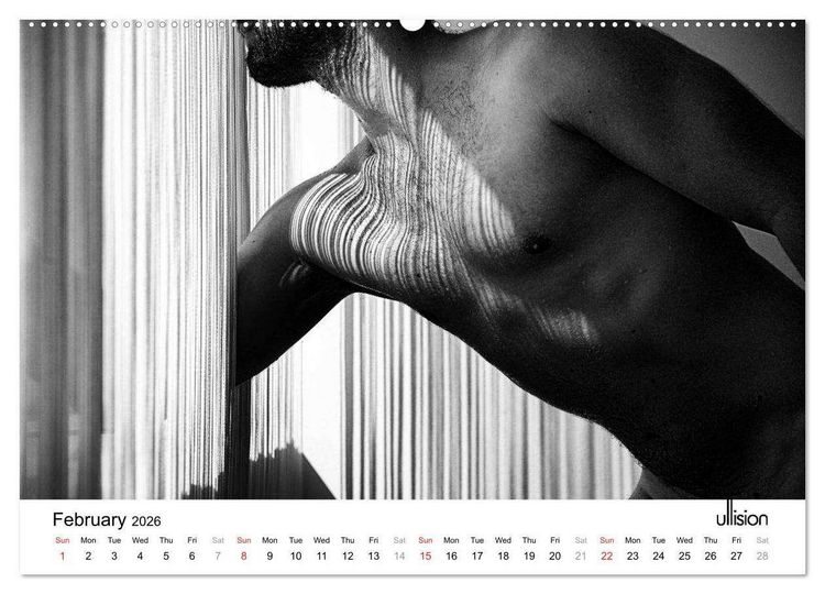 Produktbild: Male Nude Art (High Quality Premium Wall Calendar 2026 DIN A2 landscape),CALVENDO 12 Month Wall Calendar