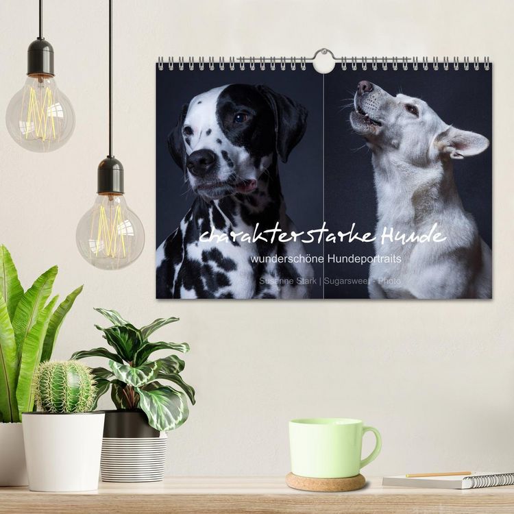 Produktbild: charakterstarke Hunde, wundersch&ouml;ne Hundeportraits (Wandkalender 2026 DIN A4 quer), CALVENDO Monatskalender