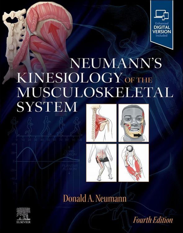Produktbild: Neumann's Kinesiology of the Musculoskeletal System - E-Book