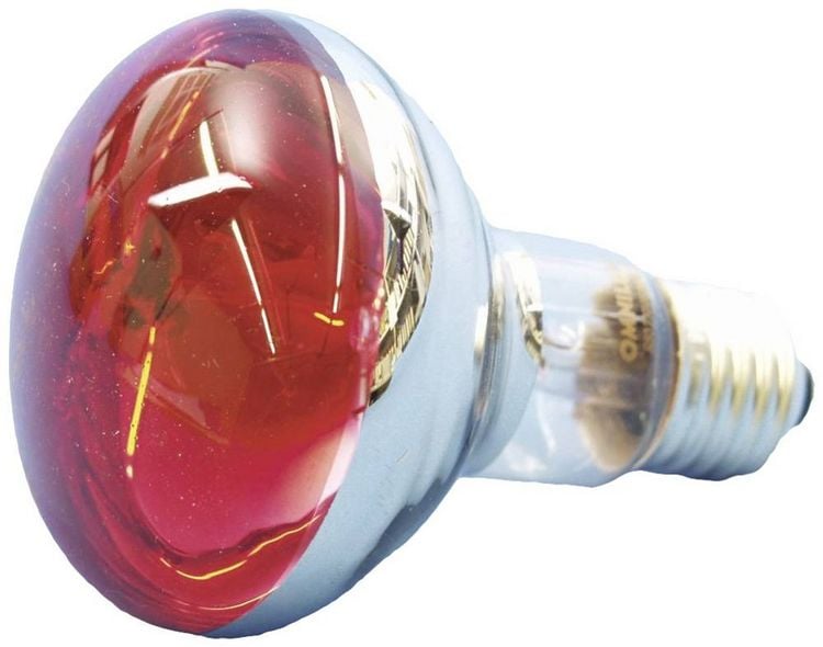 Produktbild: Eurolite 9210360U Gl&uuml;hlampe E27 Reflektor 60W Rot 1St.