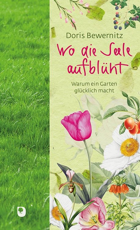 Produktbild: Wo die Seele aufbl&uuml;ht