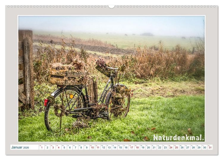 Produktbild: Das Fahrrad als ... (hochwertiger Premium Wandkalender 2026 DIN A2 quer), Kunstdruck in Hochglanz