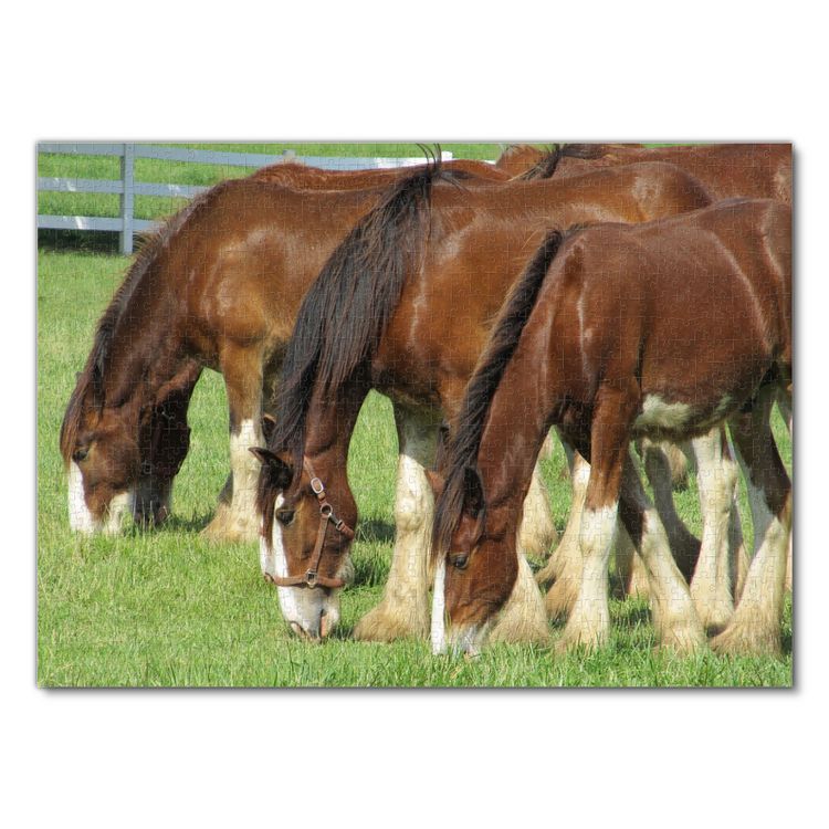 Produktbild: Lais Puzzle Clydesdale Horses 1000 Teile