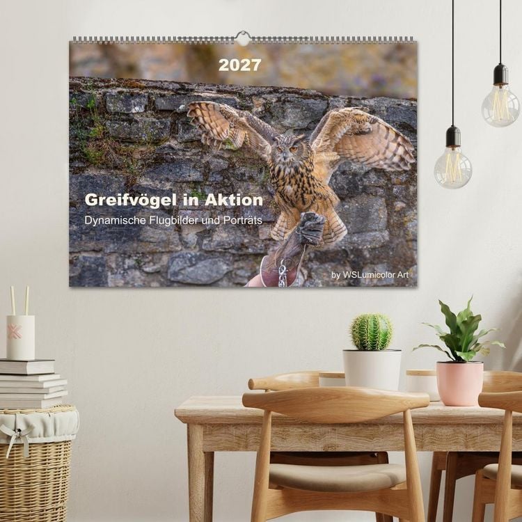 Produktbild: Greifv&ouml;gel in Aktion - Dynamische Flugbilder und Portr&auml;ts (Wandkalender 2027 DIN A2 quer), CALVENDO Monatskalender