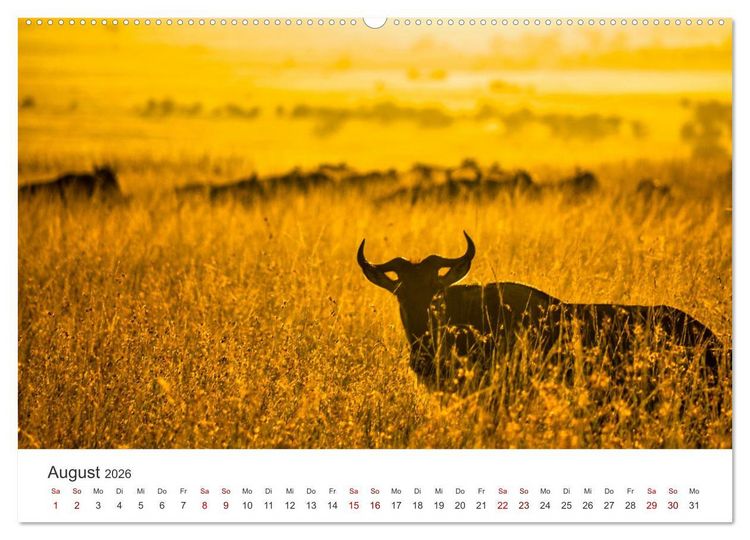 Produktbild: Kenia - Eine Safari durch unber&uuml;hrte Natur. (hochwertiger Premium Wandkalender 2026 DIN A2 quer), Kunstdruck in Hochglanz