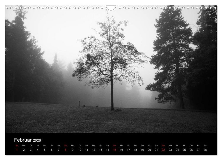 Produktbild: B&auml;ume trees 2026 (Wandkalender 2026 DIN A3 quer), CALVENDO Monatskalender