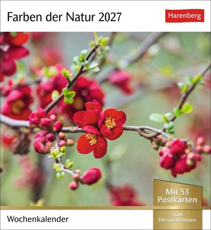 Produktbild: Farben der Natur Postkartenkalender 2027 - Wochenkalender mit 53 Postkarten