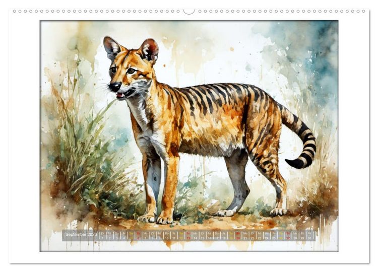 Produktbild: Liebenswerte Beuteltiere (Wandkalender 2026 DIN A2 quer), CALVENDO Monatskalender