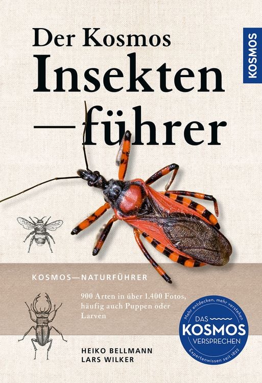 Produktbild: Der KOSMOS Insektenf&uuml;hrer