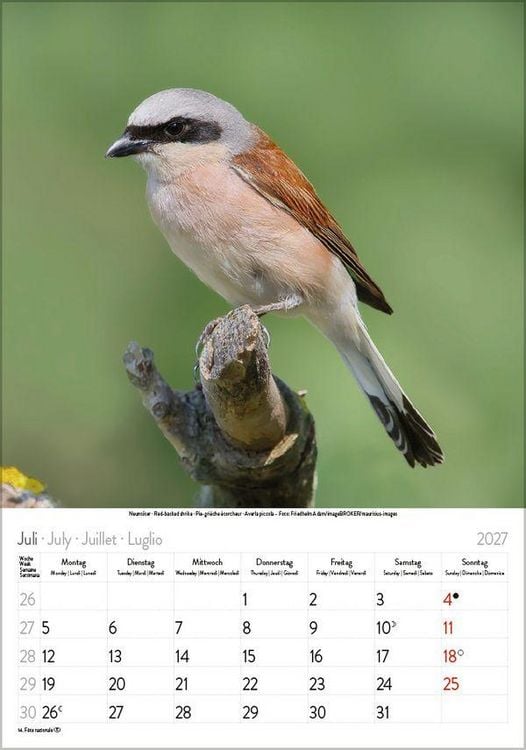 Produktbild: V&ouml;gel 2027