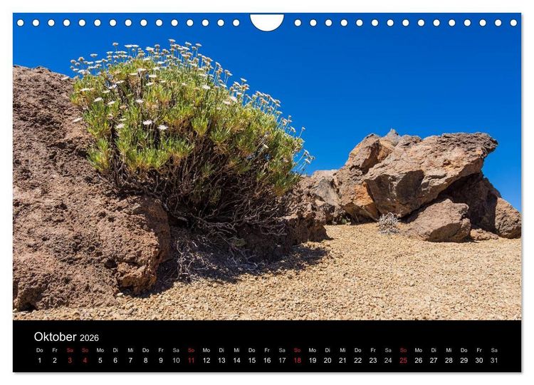 Produktbild: Teneriffa (Wandkalender 2026 DIN A4 quer), CALVENDO Monatskalender