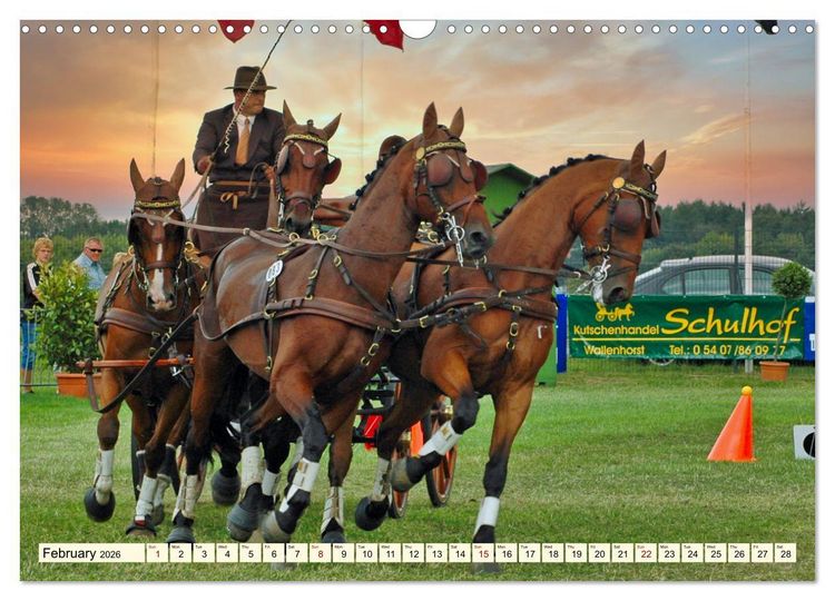 Produktbild: Four-in-hand Driving Challenge (Wall Calendar 2026 DIN A3 landscape), CALVENDO 12 Month Wall Calendar