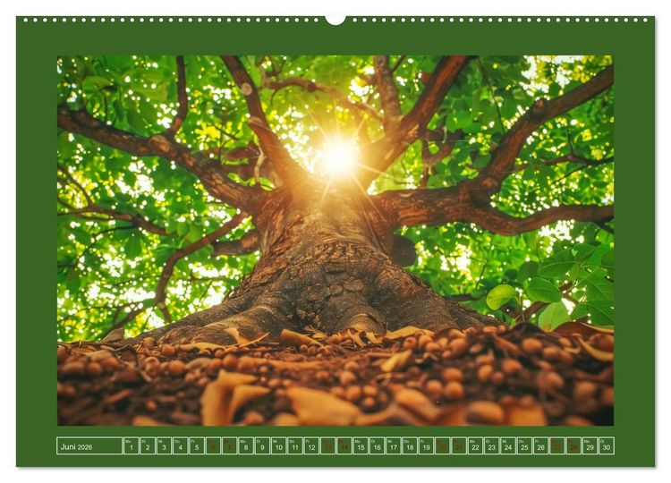 Produktbild: Die Zeitreisenden des Waldes (Wandkalender 2026 DIN A2 quer), CALVENDO Monatskalender