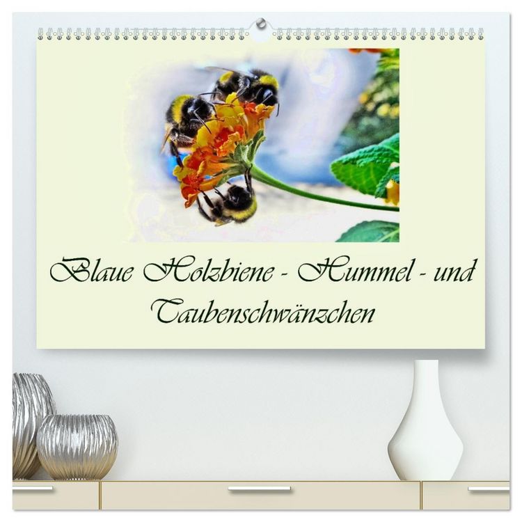 Produktbild: Blaue Holzbiene &ndash; Hummel &ndash; und Taubenschw&auml;nzchen. (hochwertiger Premium Wandkalender 2026 DIN A2 quer), Kunstdruck in Hochglanz
