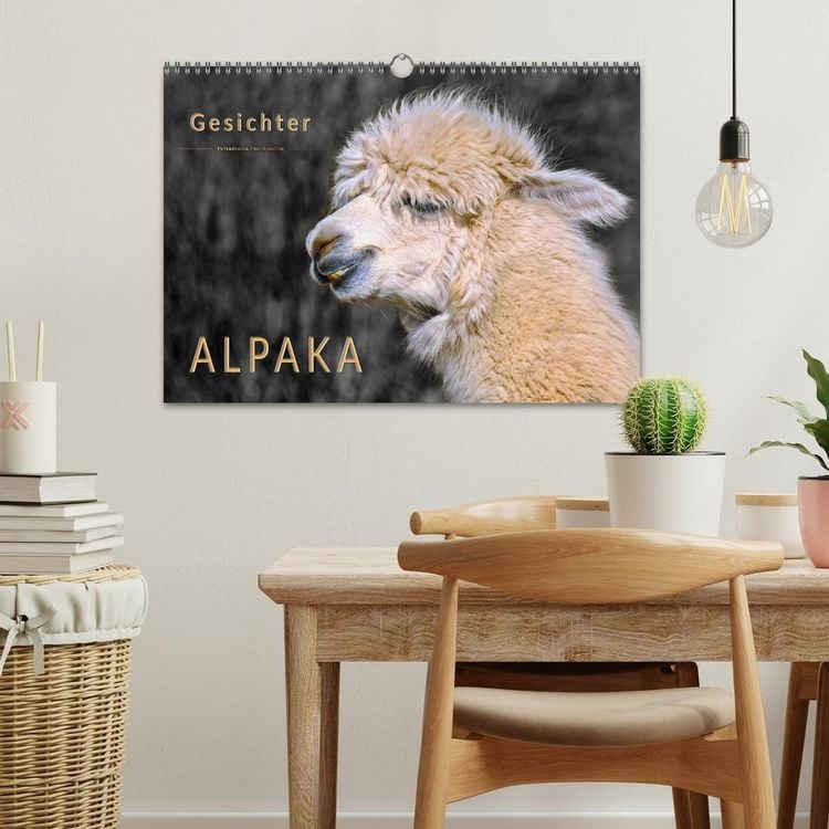 Produktbild: Alpaka Gesichter (Wandkalender 2026 DIN A3 quer), CALVENDO Monatskalender