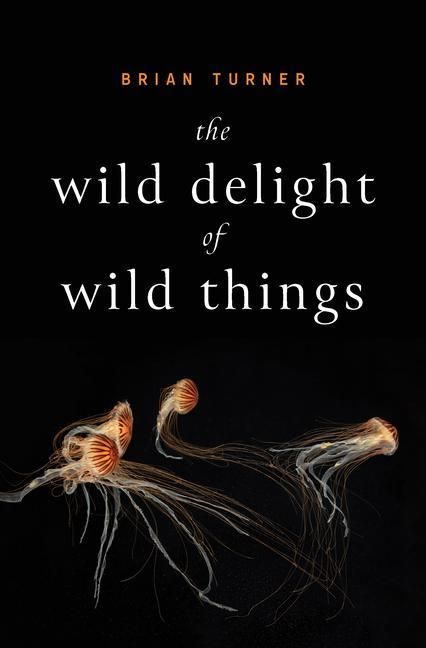 Produktbild: The Wild Delight of Wild Things