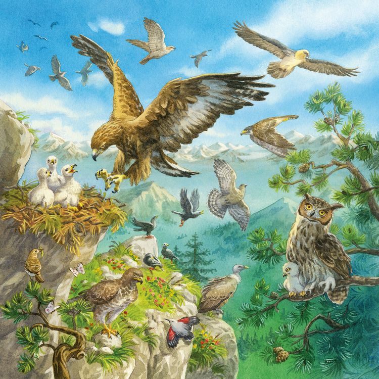 Produktbild: Puzzle Ravensburger Tiere in ihren Lebensr&auml;umen 3 X 49 Teile