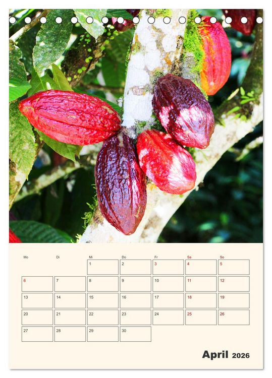 Produktbild: Ecuador - Terminplaner (Tischkalender 2026 DIN A5 hoch), CALVENDO Monatskalender