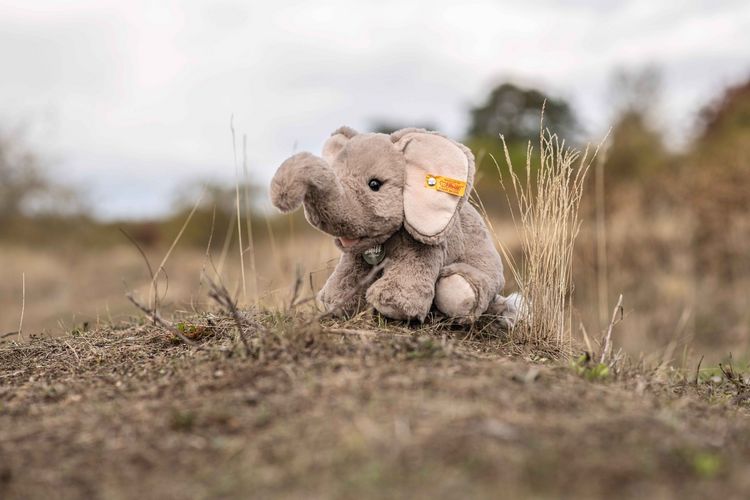 Produktbild: Steiff 065163 - Edie Elefant, sitzend, hellgrau, Pl&uuml;sch, 24 cm