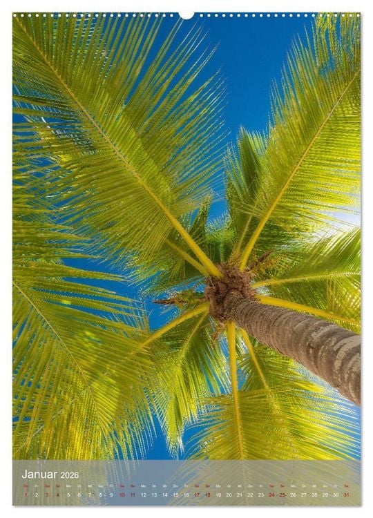 Produktbild: Karibischer Traum Isla Saona (hochwertiger Premium Wandkalender 2026 DIN A2 hoch), Kunstdruck in Hochglanz