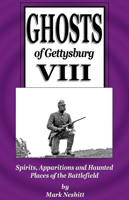 Produktbild: Ghosts of Gettysburg VIII