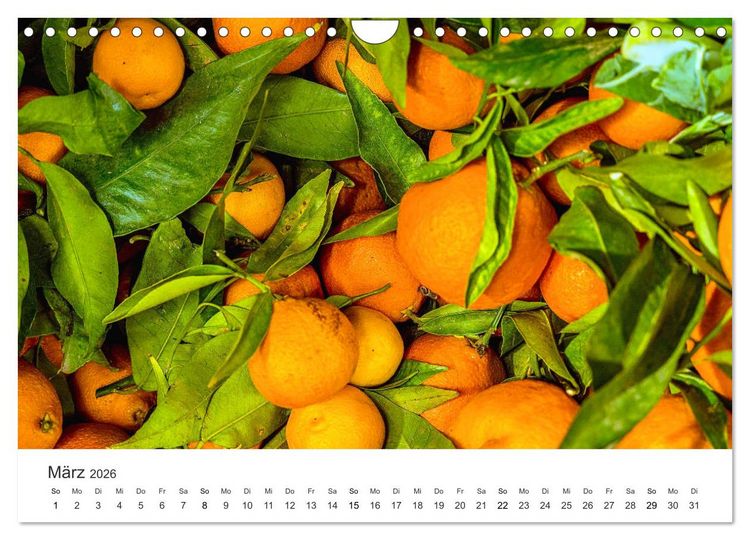 Produktbild: Das farbenfrohe Marokko (Wandkalender 2026 DIN A4 quer), CALVENDO Monatskalender