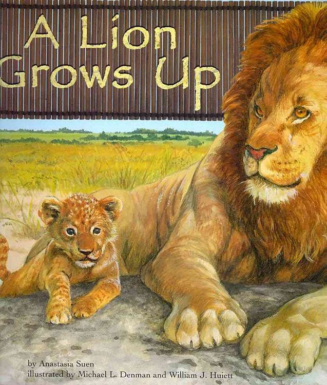 Produktbild: A Lion Grows Up
