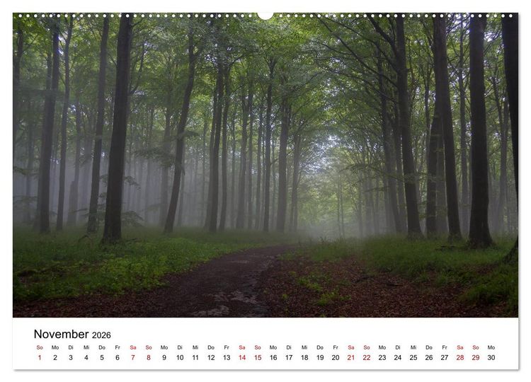 Produktbild: Traumhaftes R&uuml;gen (Wandkalender 2026 DIN A2 quer), CALVENDO Monatskalender